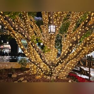 Meet your Posher, Waed